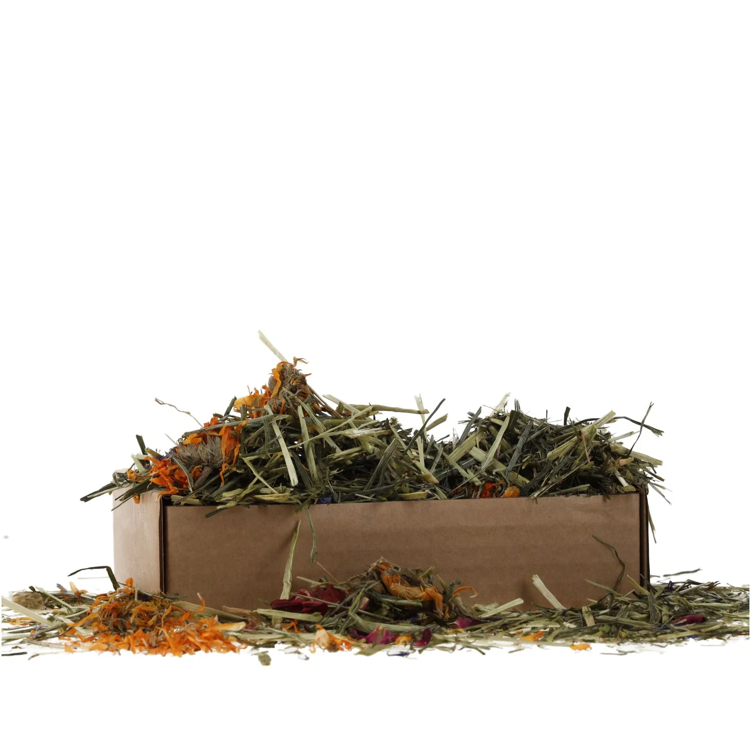 ProRep Tortoise Foraging Tray 70g - Image 4