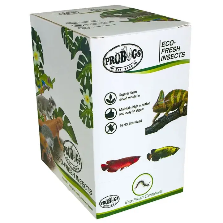 ProBugs Eco Fresh Centipedes 2pcs - Image 3