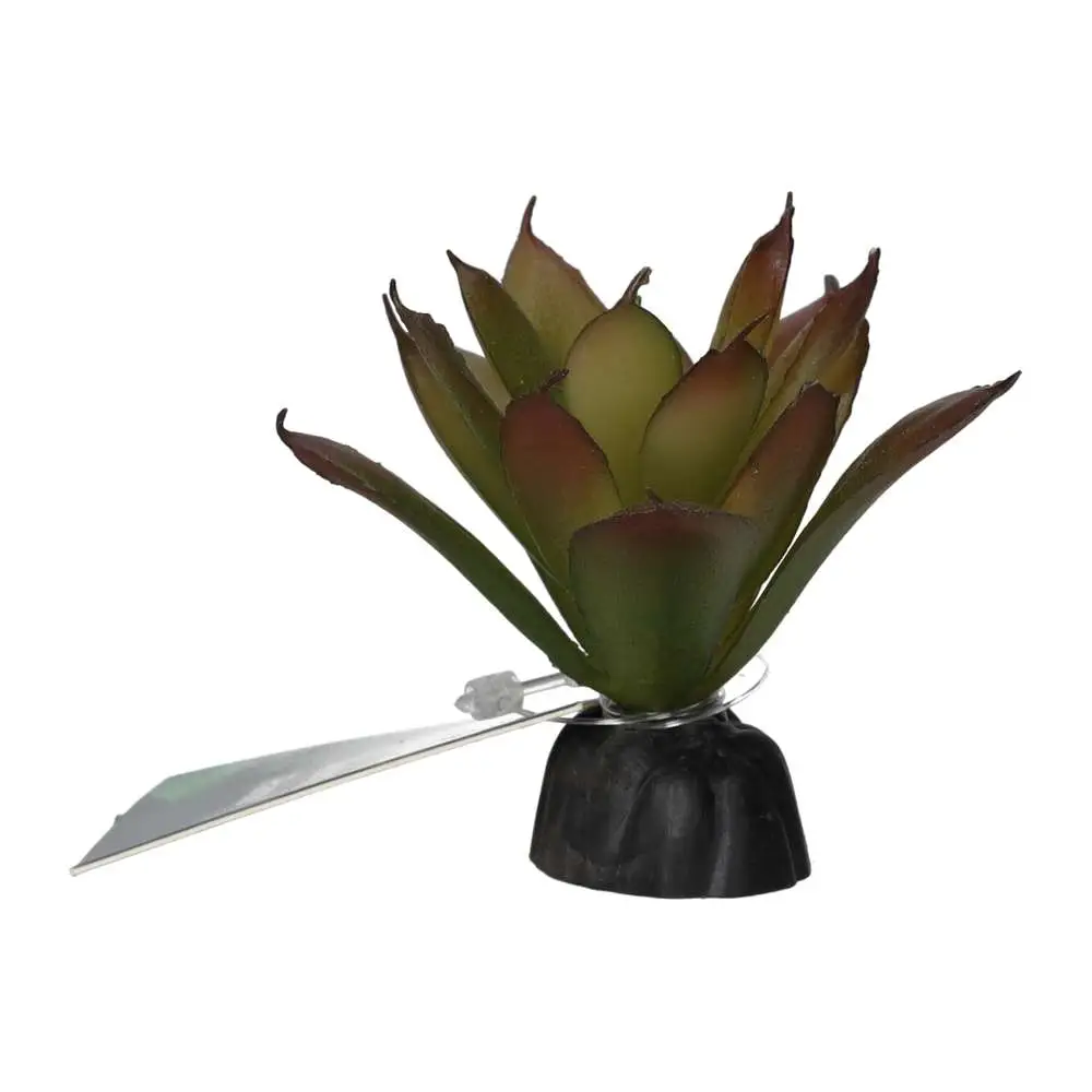 ProRep Artificial Aeonium Plant - Image 2
