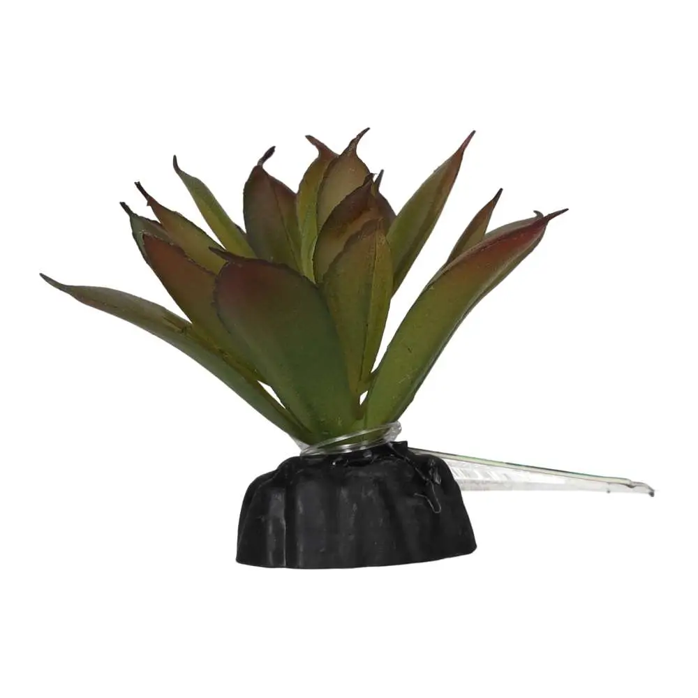 ProRep Artificial Aeonium Plant - Image 3