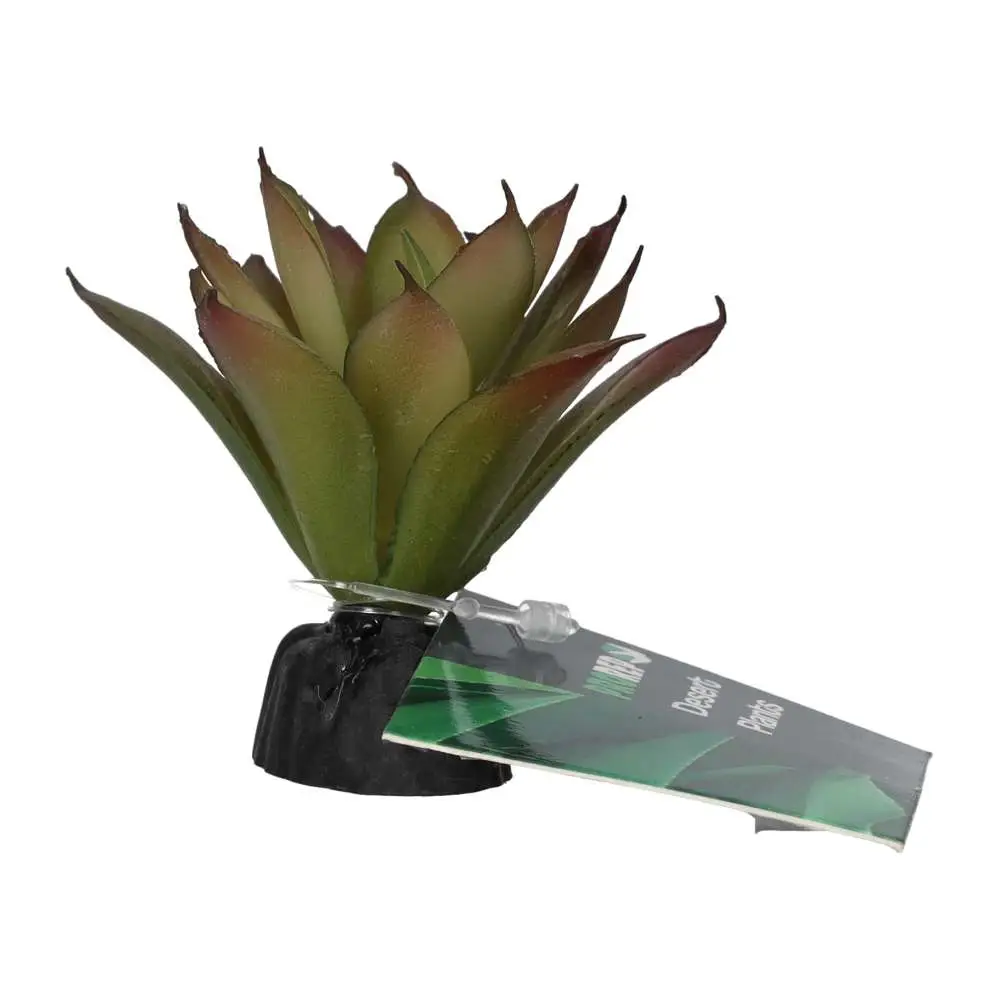 ProRep Artificial Aeonium Plant - Image 4