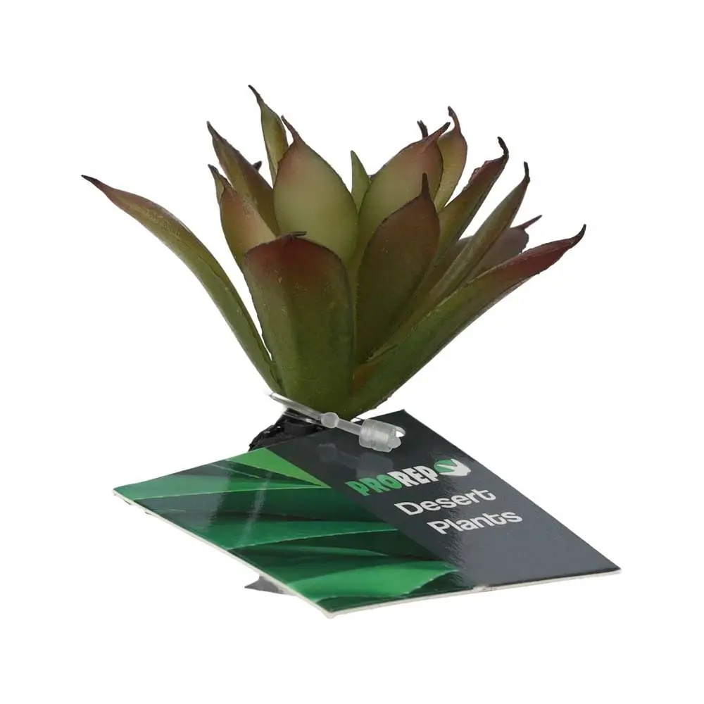 ProRep Artificial Aeonium Plant - Image 5