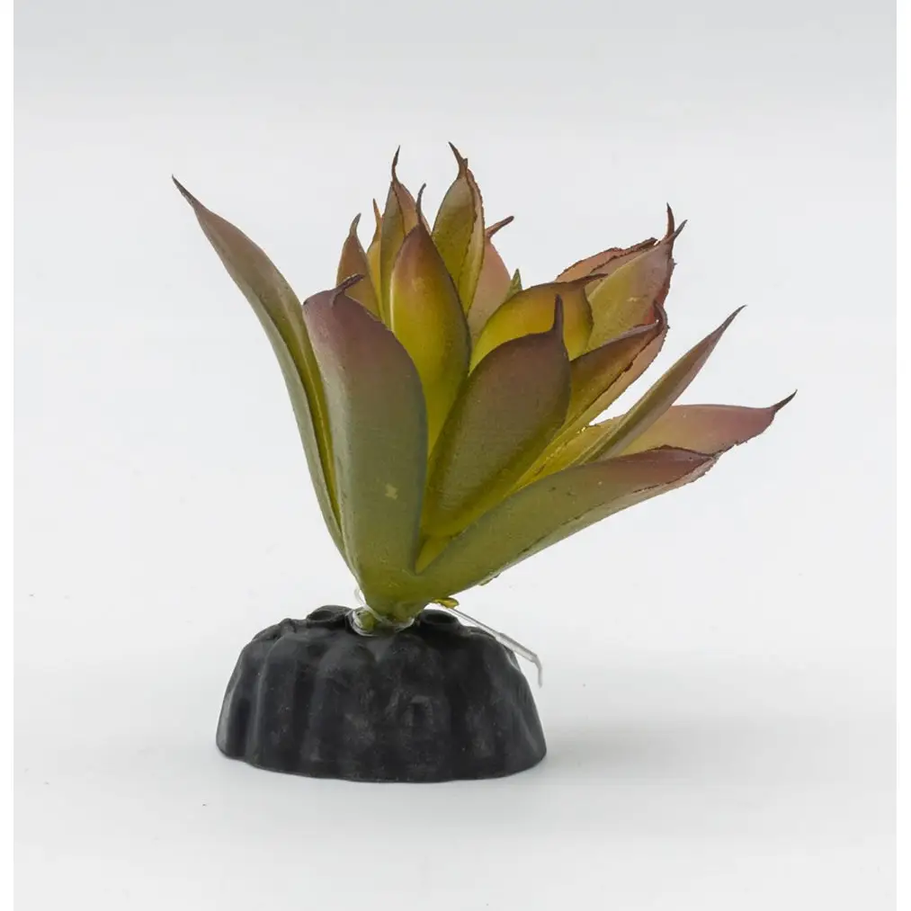 ProRep Artificial Aeonium Plant - Image 6