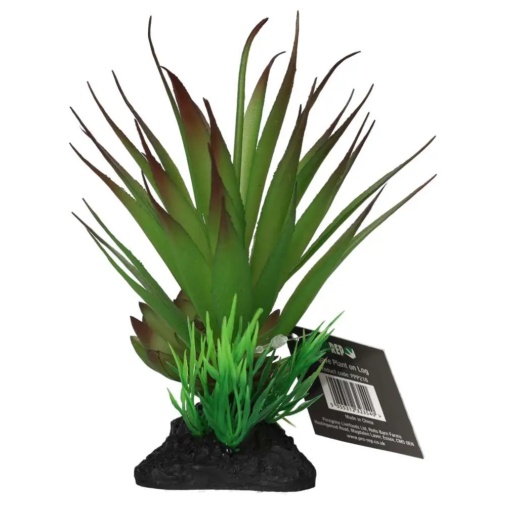 ProRep Articial Agave Plant on Log - Image 4