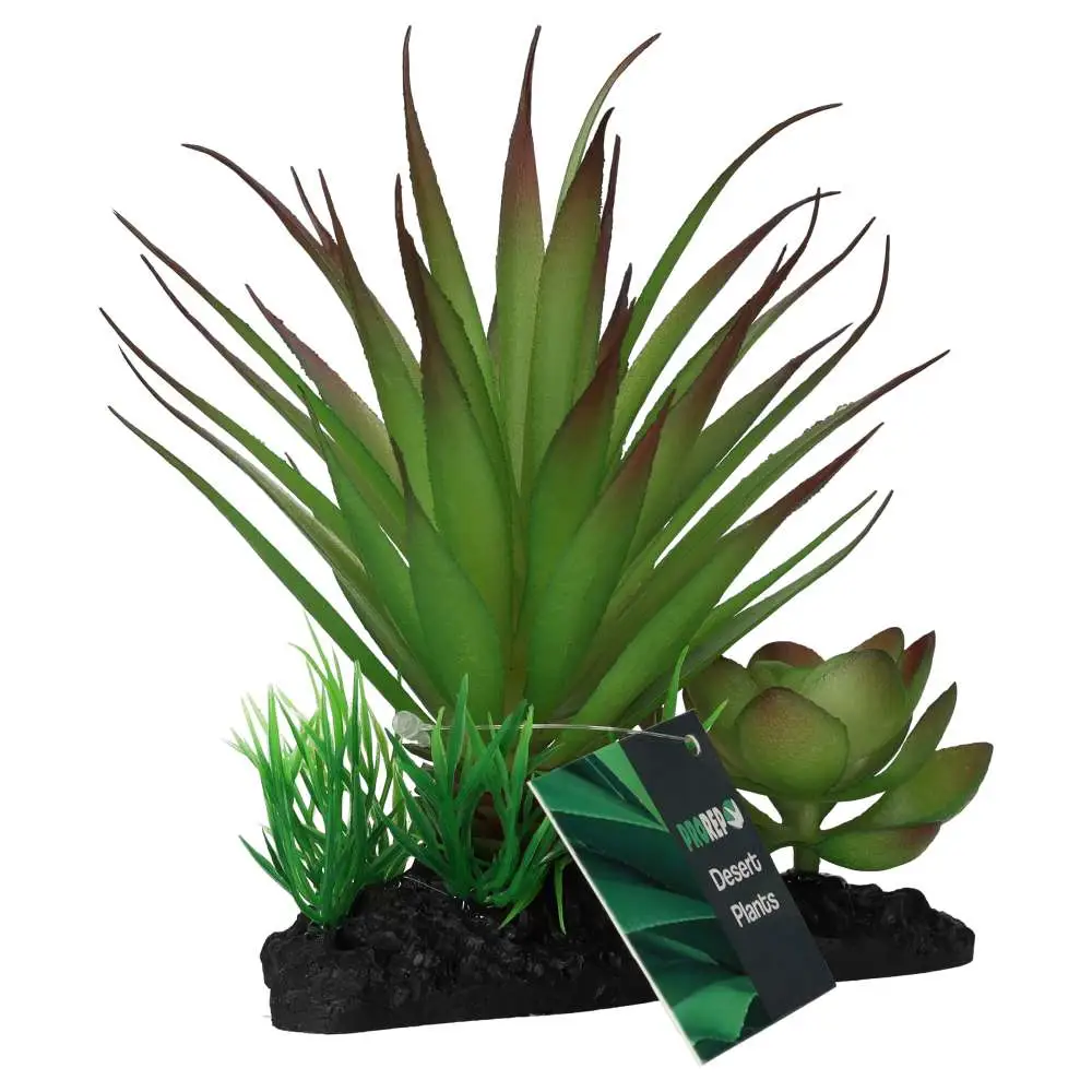 ProRep Articial Agave Plant on Log - Image 5