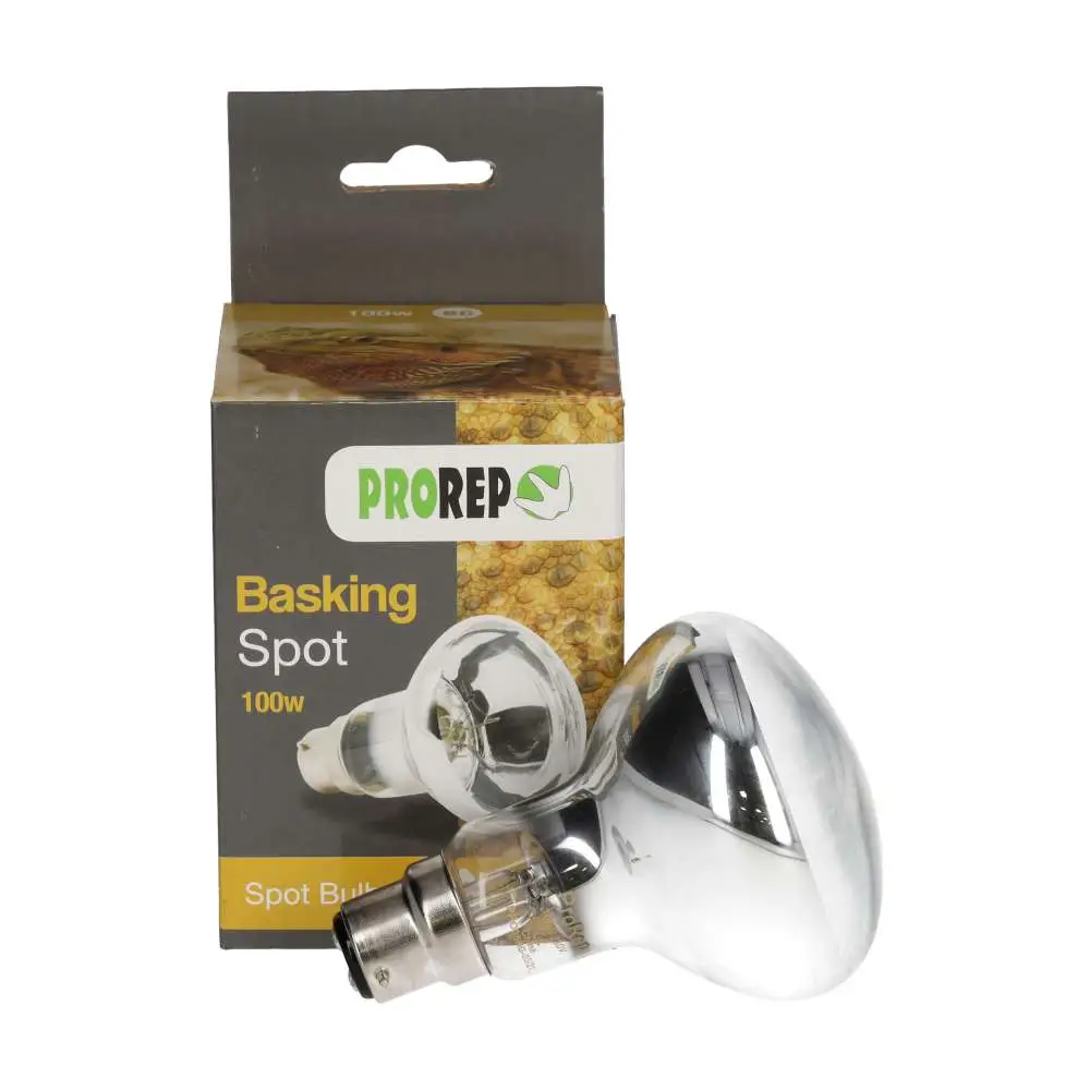 ProRep Basking Spot Bulb BC (Bayonet) - Image 4