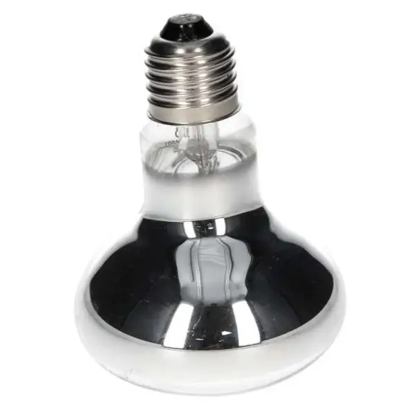 ProRep Basking Spot Bulb ES (Screw) - Image 6