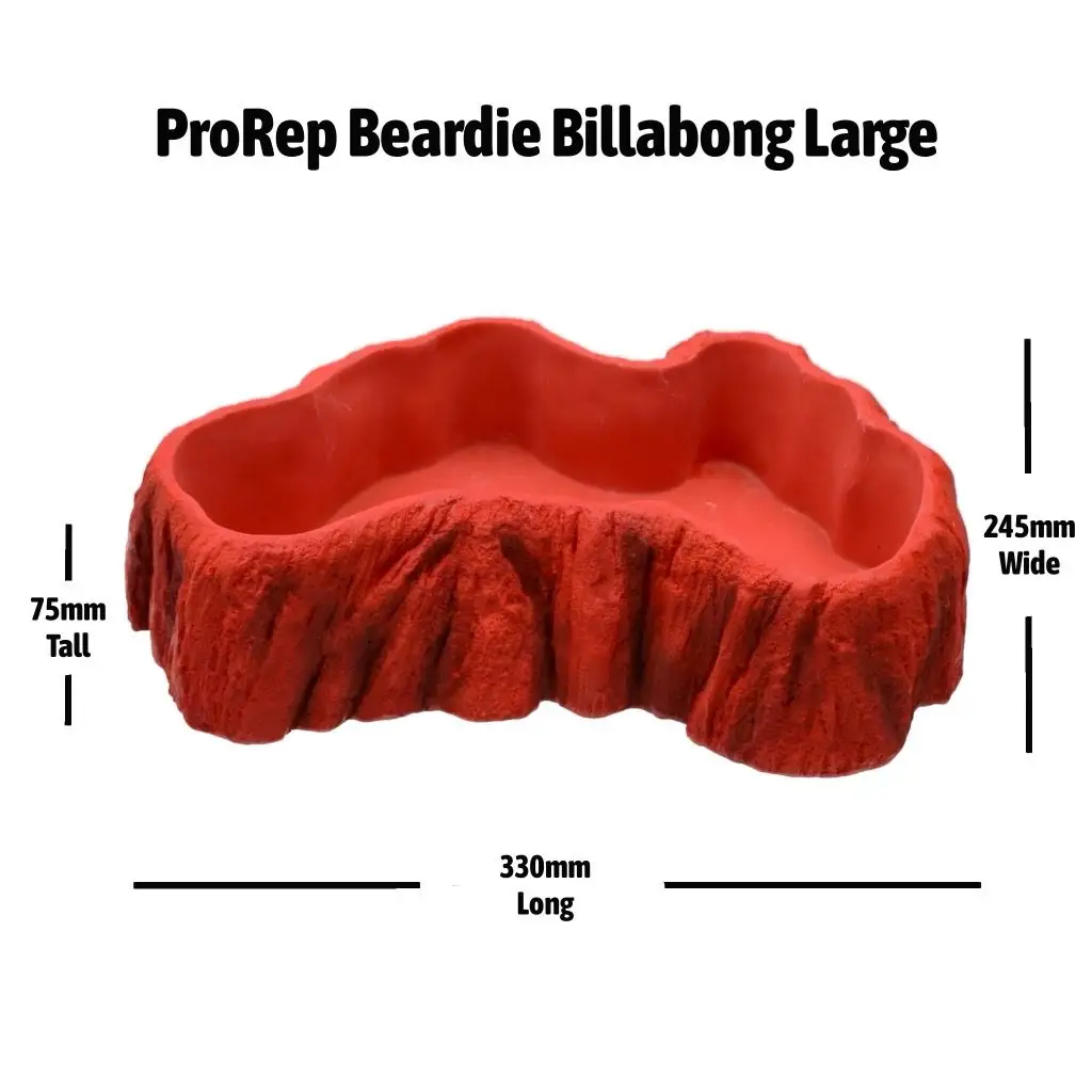 ProRep Beardie Billabong Pool - Image 5