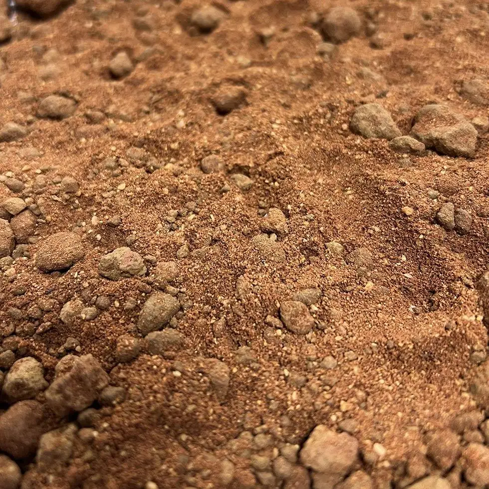 ProRep Beardie Life Substrate - Image 3