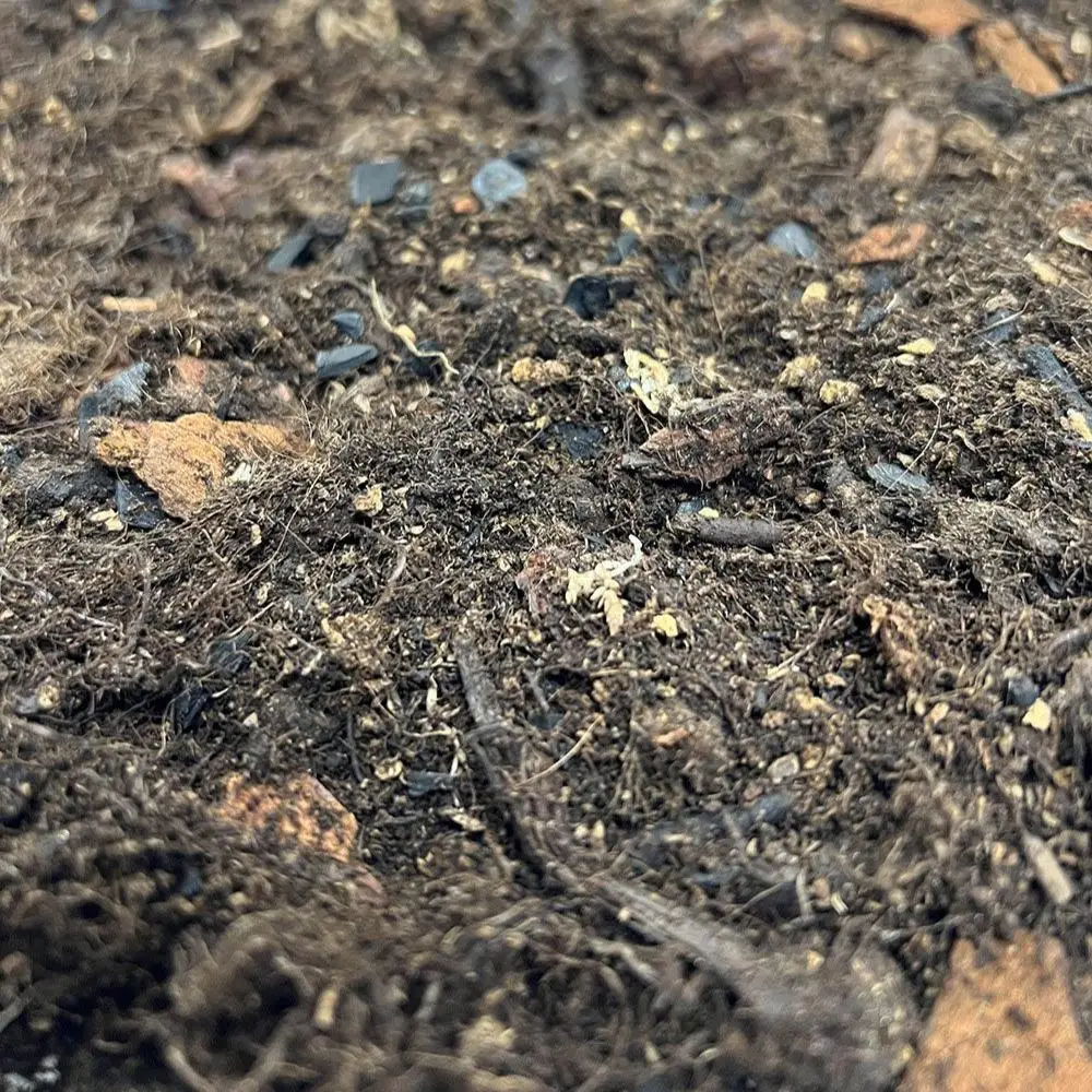 ProRep Bio Life Forest Substrate - Image 4
