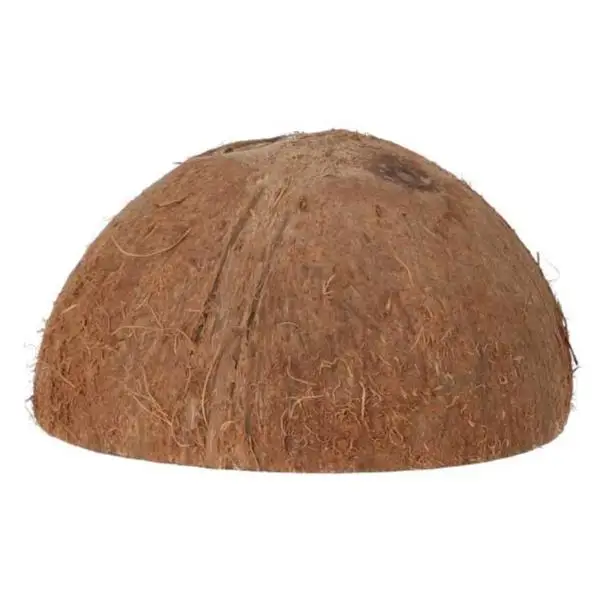 ProRep Coco Dome - Image 4