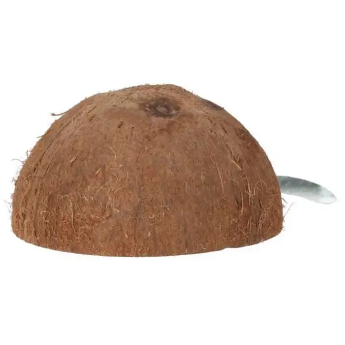 ProRep Coco Dome - Image 5