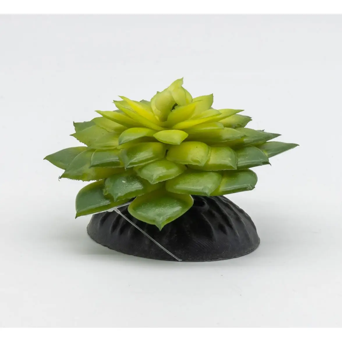 ProRep Artificial E Salsaverde Plant - Image 5
