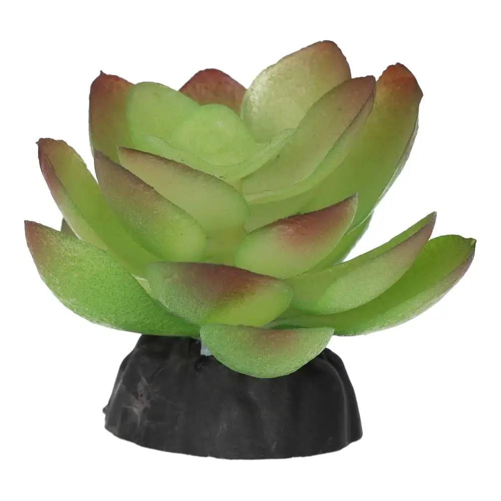 ProRep Artificial Echiveria Plant - Image 3