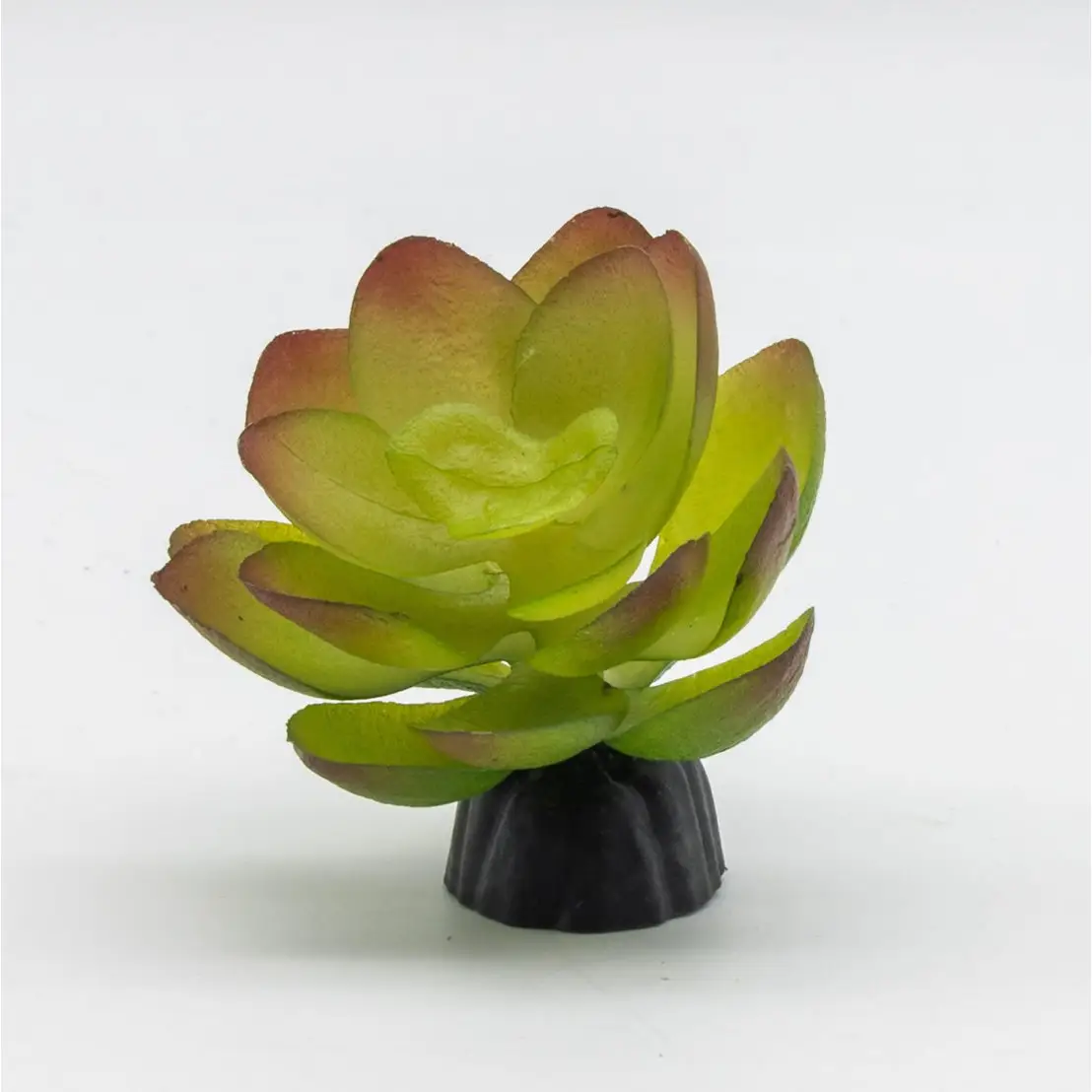ProRep Artificial Echiveria Plant - Image 5