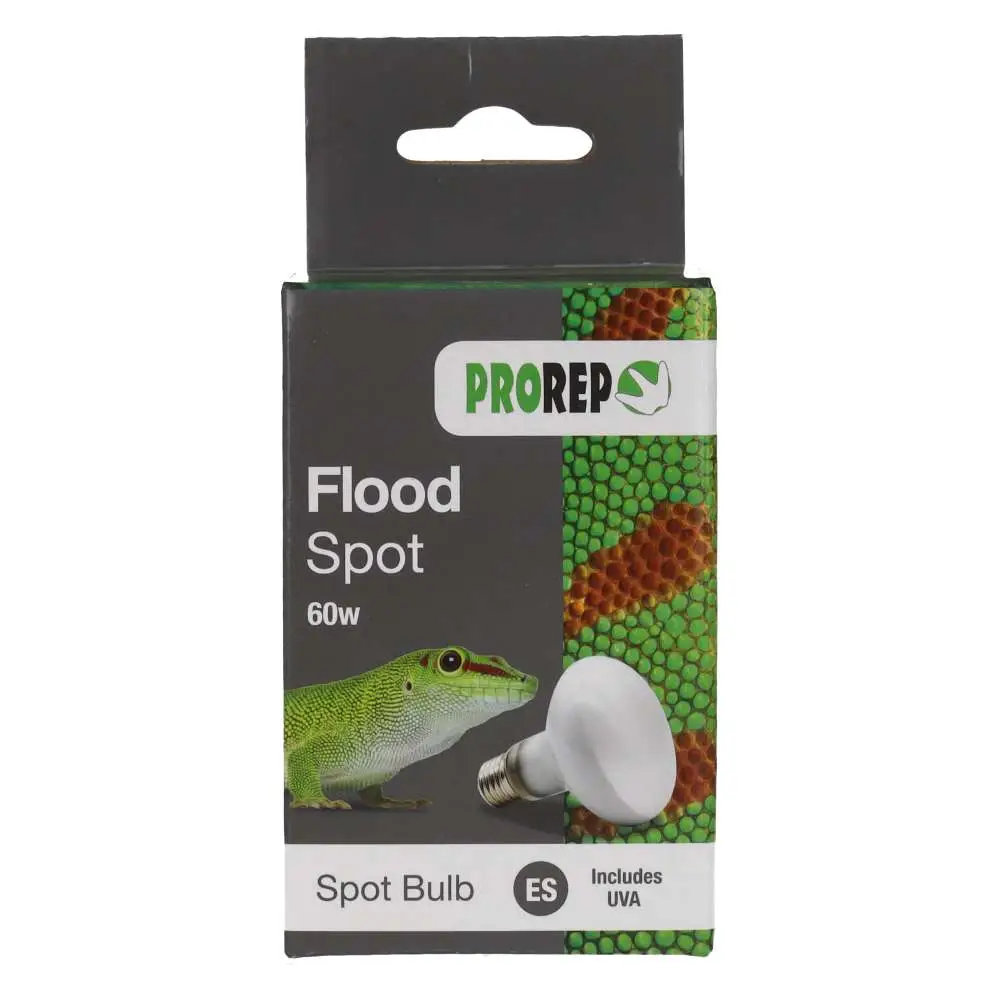 ProRep Flood Lamp - Image 3