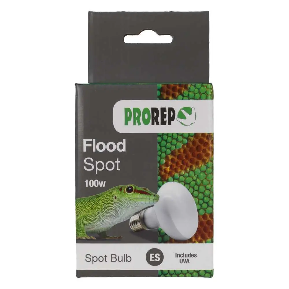 ProRep Flood Lamp - Image 4