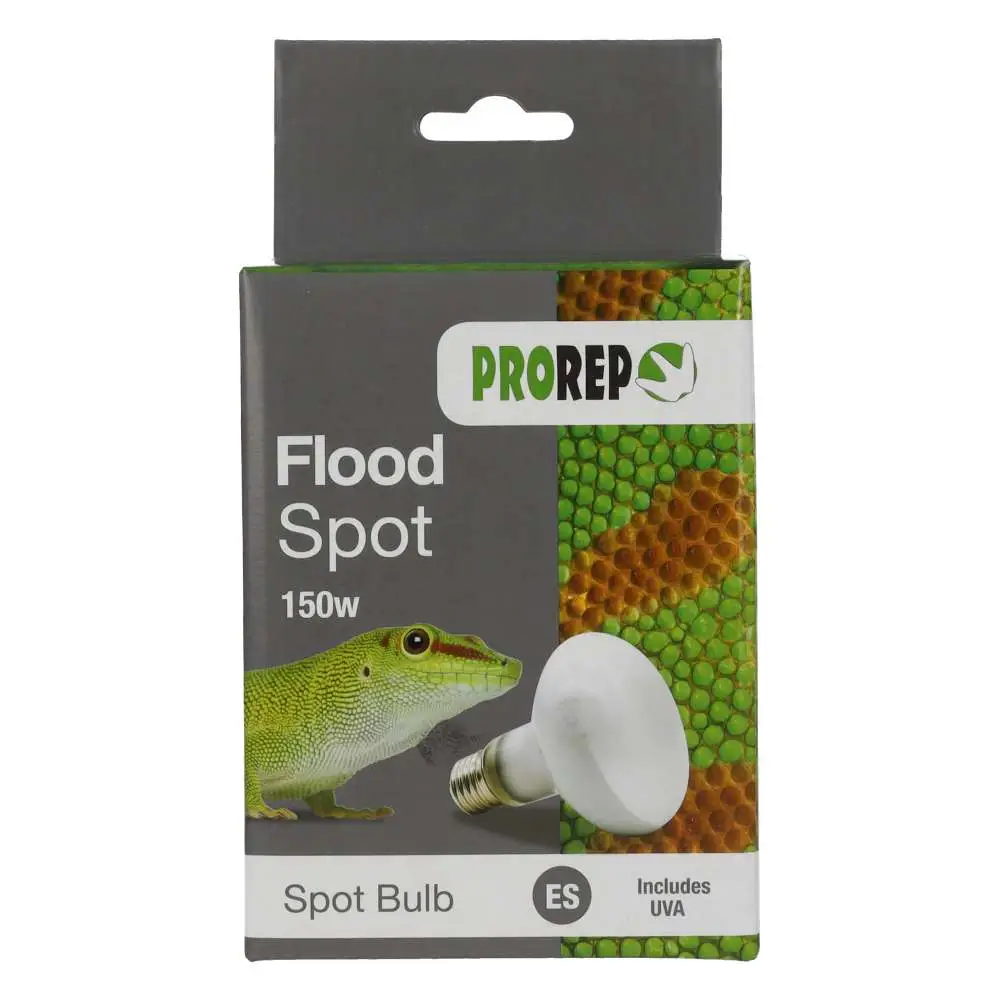 ProRep Flood Lamp - Image 5