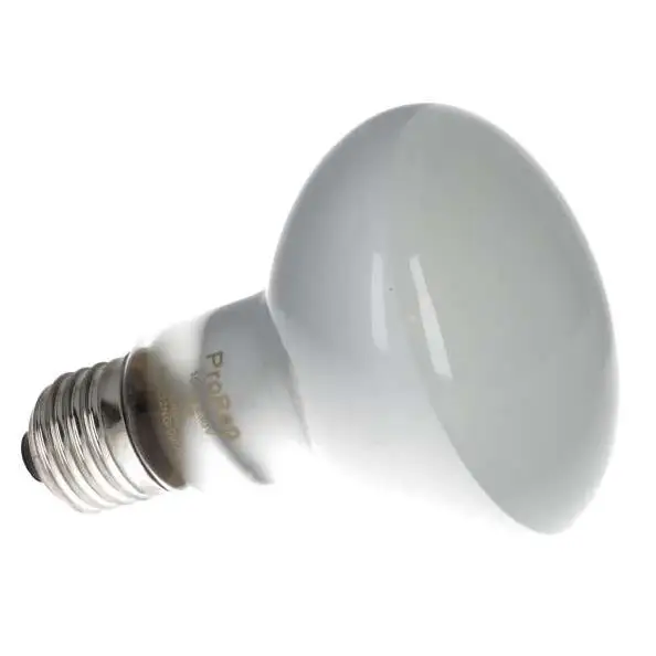 ProRep Flood Lamp - Image 6