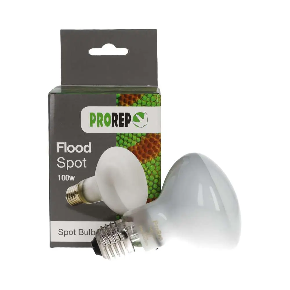 ProRep Flood Lamp - Image 7