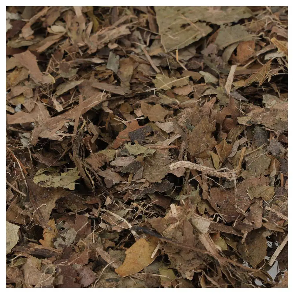 ProRep Bio Life Leaf Litter Brick - Image 5