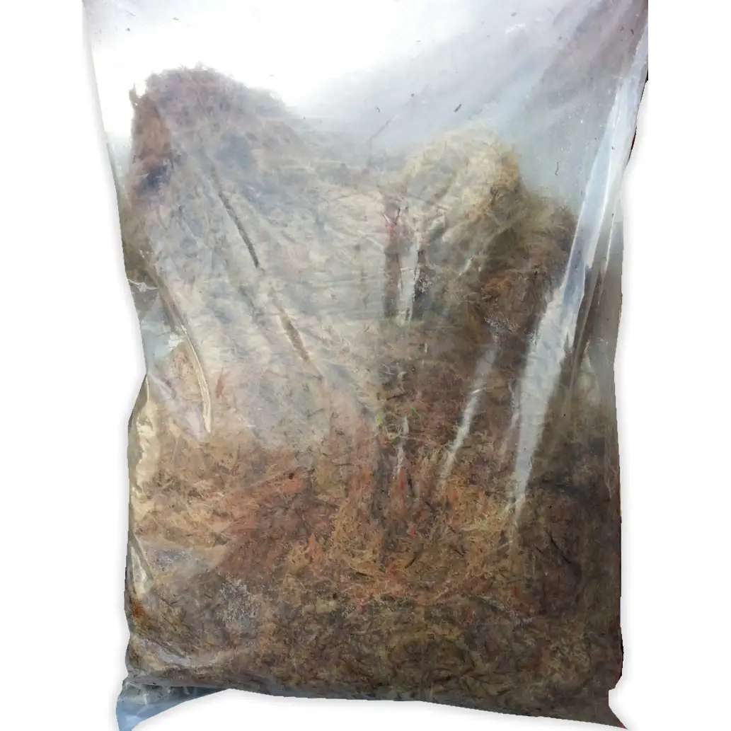 ProRep Live Moss - Image 3