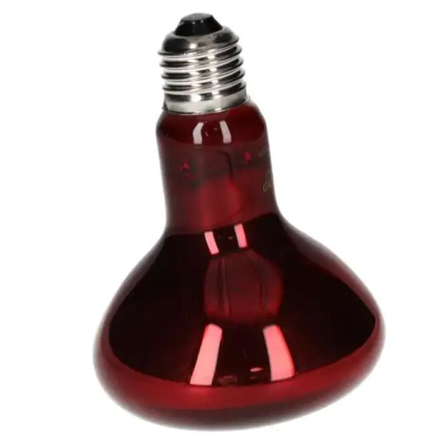 ProRep Infrared Spot Bulb - Image 5
