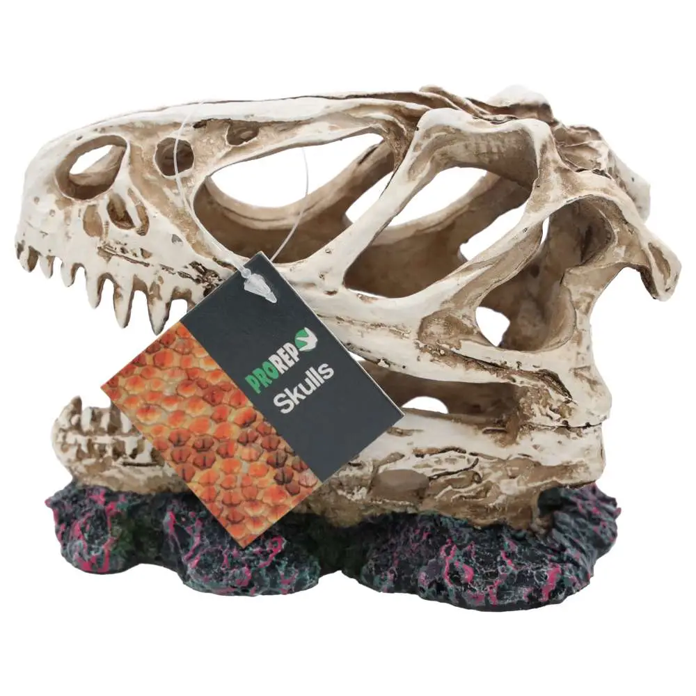 ProRep Resin Allosaurus Skull - Image 2