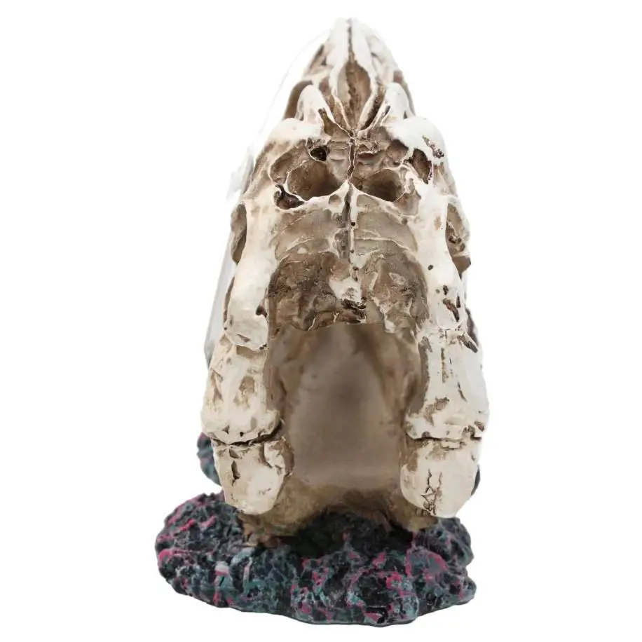 ProRep Resin Allosaurus Skull - Image 3