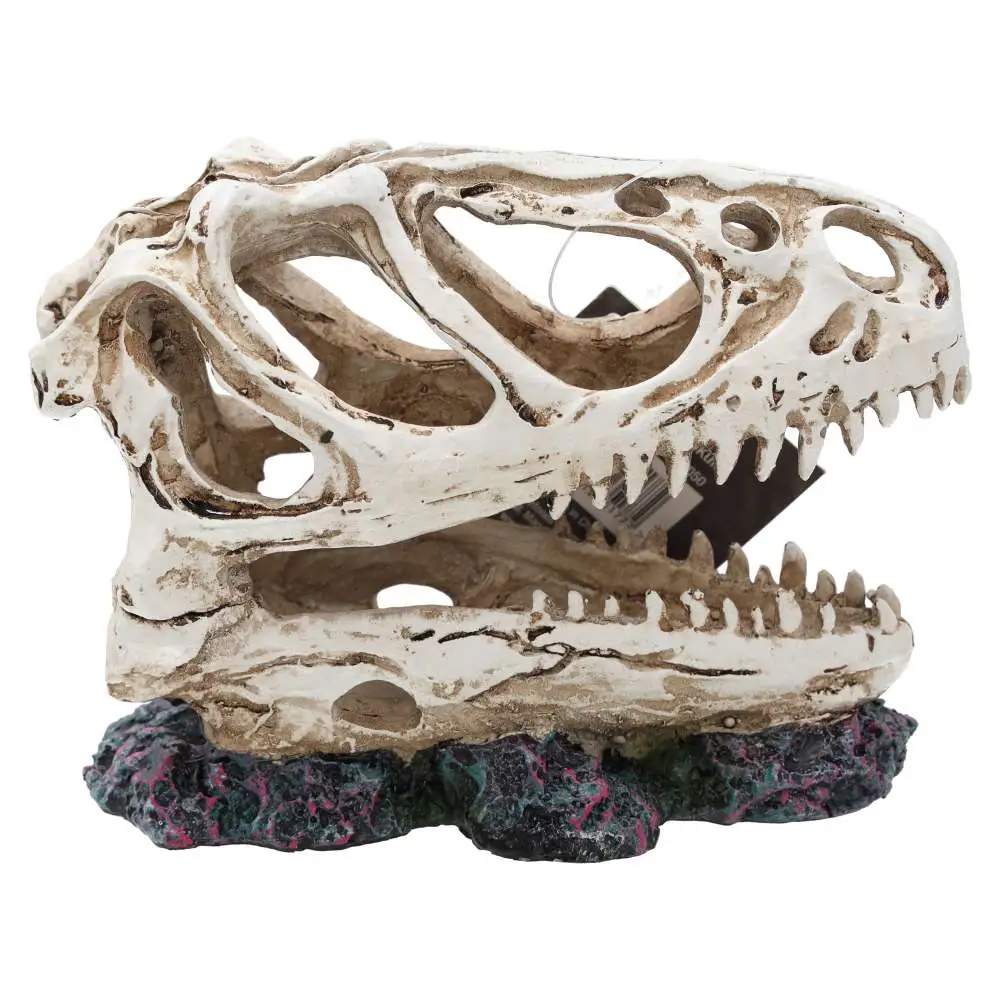 ProRep Resin Allosaurus Skull - Image 4