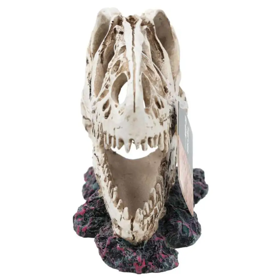 ProRep Resin Allosaurus Skull - Image 5