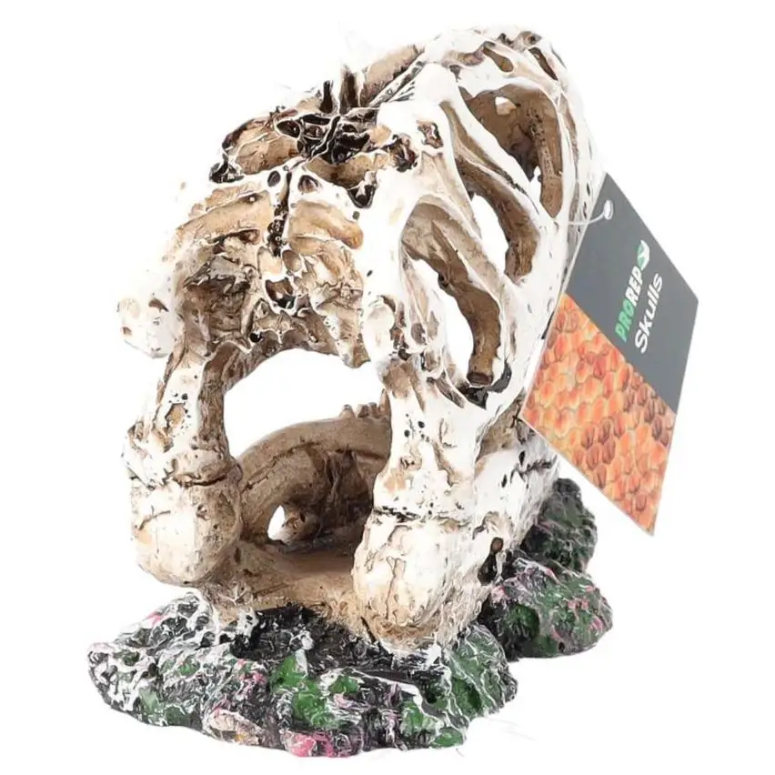 ProRep Resin Allosaurus Skull - Image 6