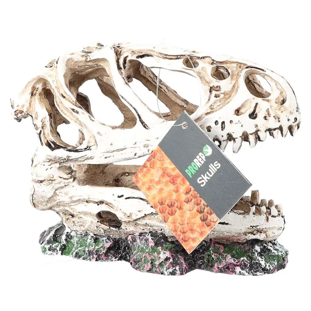 ProRep Resin Allosaurus Skull - Image 7