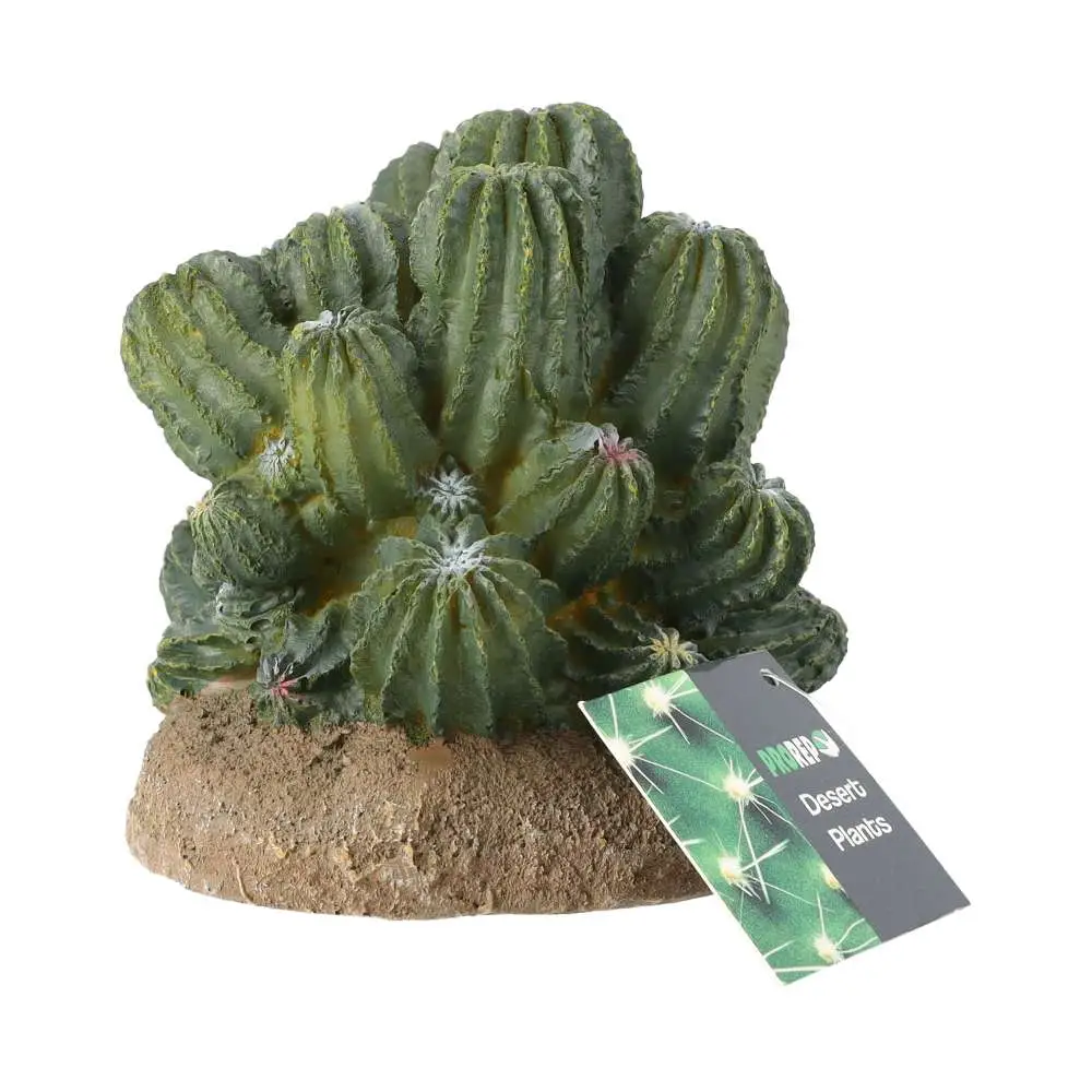ProRep Resin Cactus Cluster - Image 6