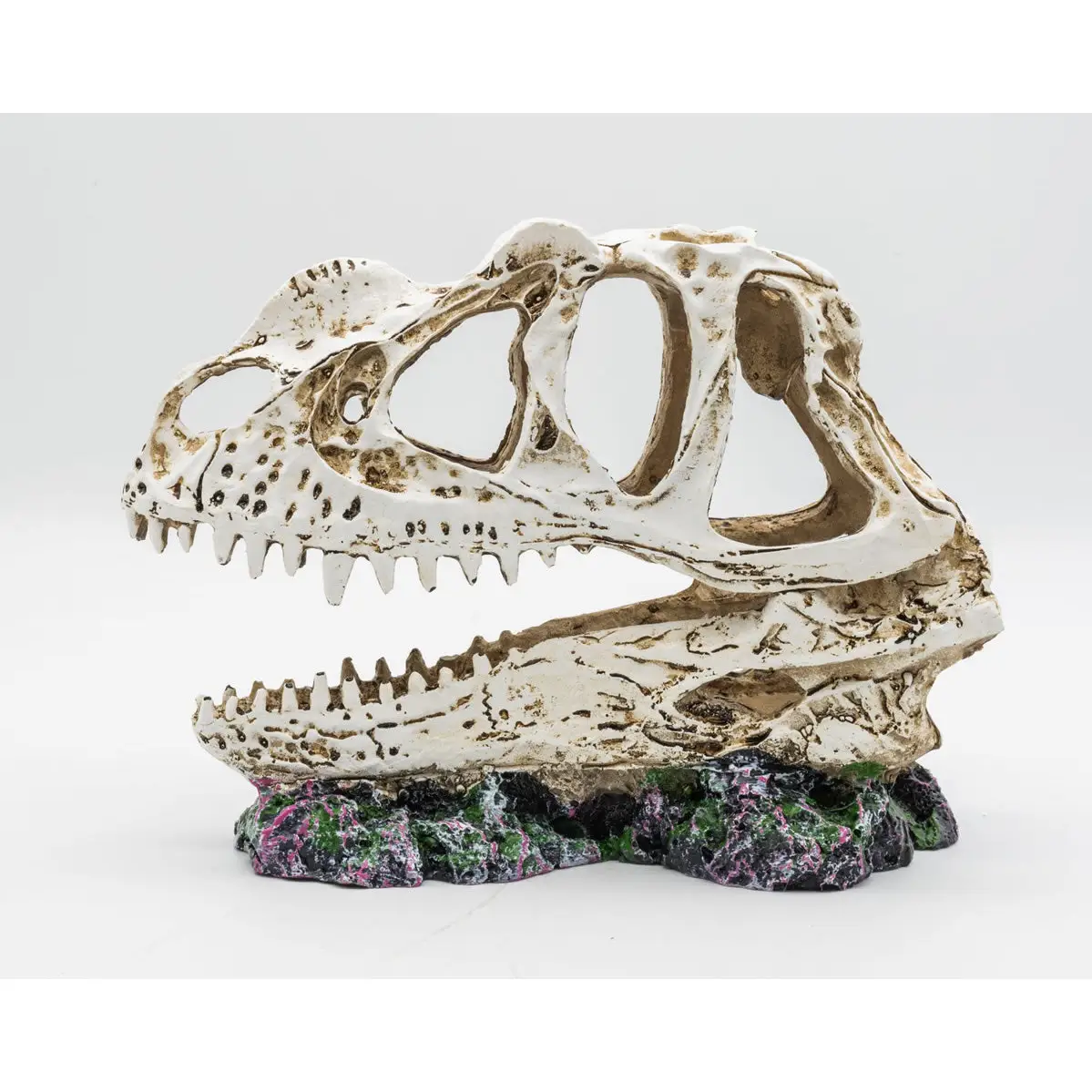 ProRep Resin Ceratosuarus Skull