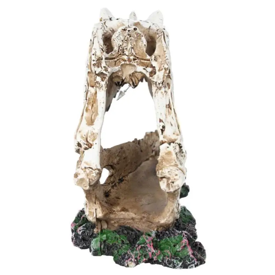 ProRep Resin Ceratosuarus Skull - Image 3