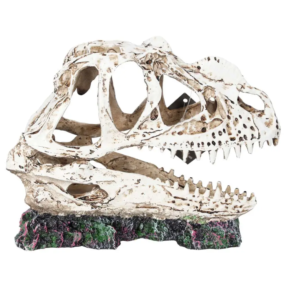 ProRep Resin Ceratosuarus Skull - Image 4