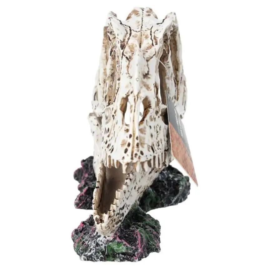 ProRep Resin Ceratosuarus Skull - Image 5
