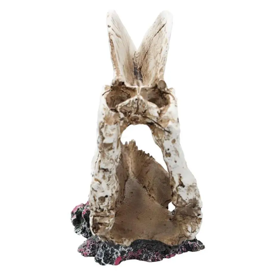 ProRep Resin Dilophosaurus Skull - Image 3