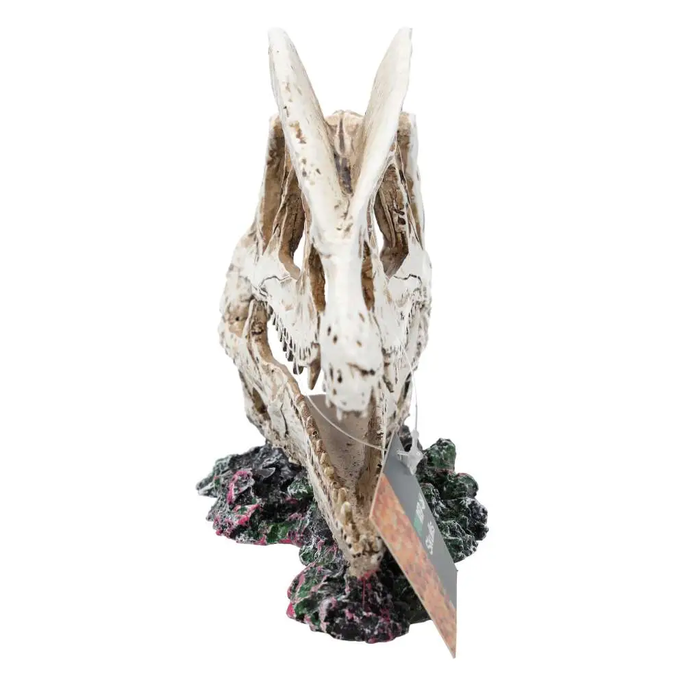 ProRep Resin Dilophosaurus Skull - Image 5