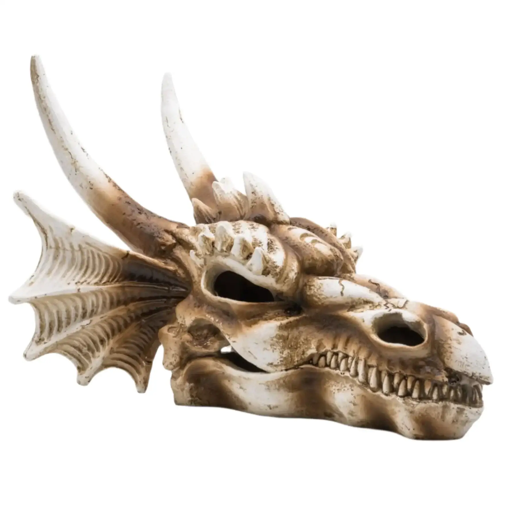 ProRep Resin Dragon Skull - Image 2
