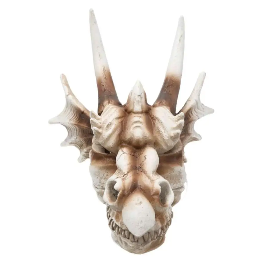 ProRep Resin Dragon Skull - Image 3