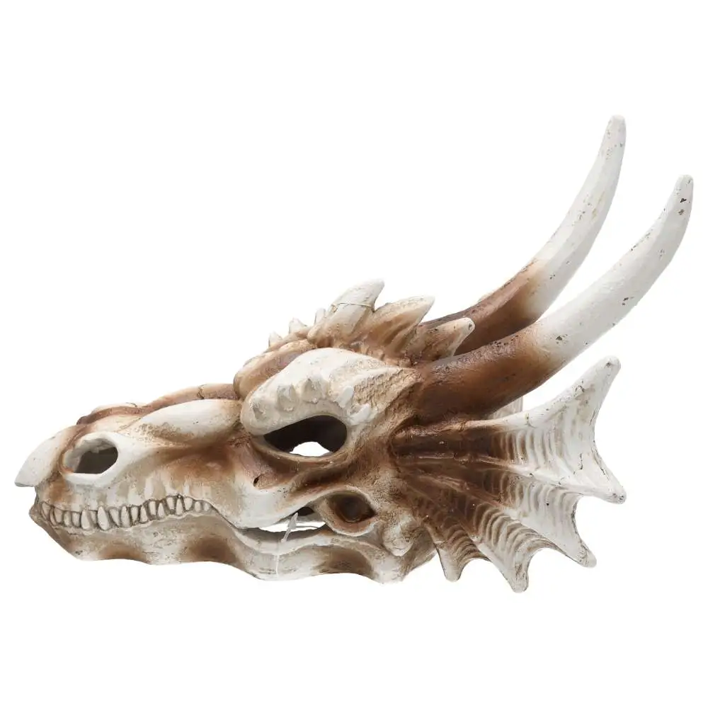 ProRep Resin Dragon Skull - Image 4
