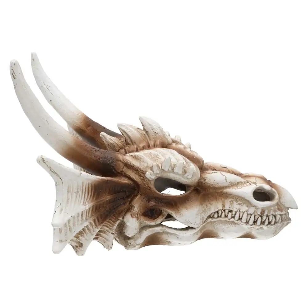 ProRep Resin Dragon Skull - Image 6