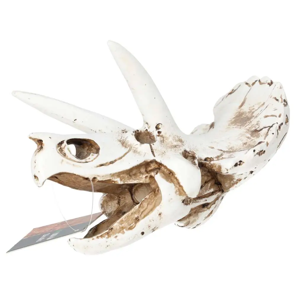 ProRep Resin Triceratops Skull - Image 3
