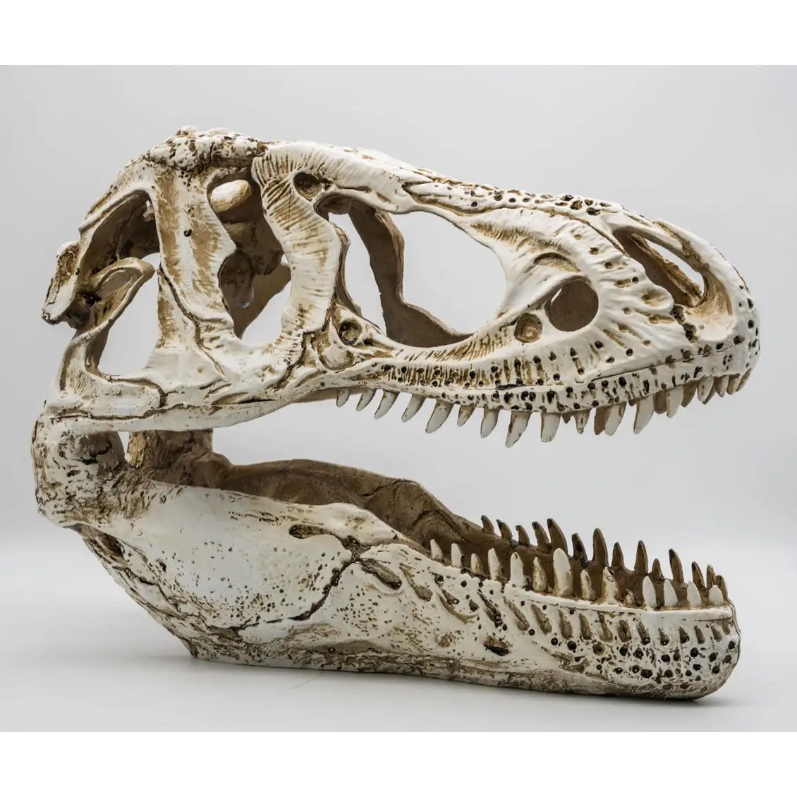 ProRep XL T-Rex Skull