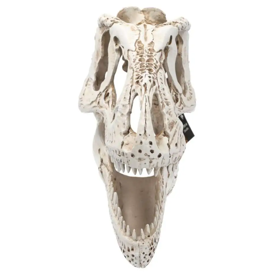 ProRep XL T-Rex Skull - Image 2