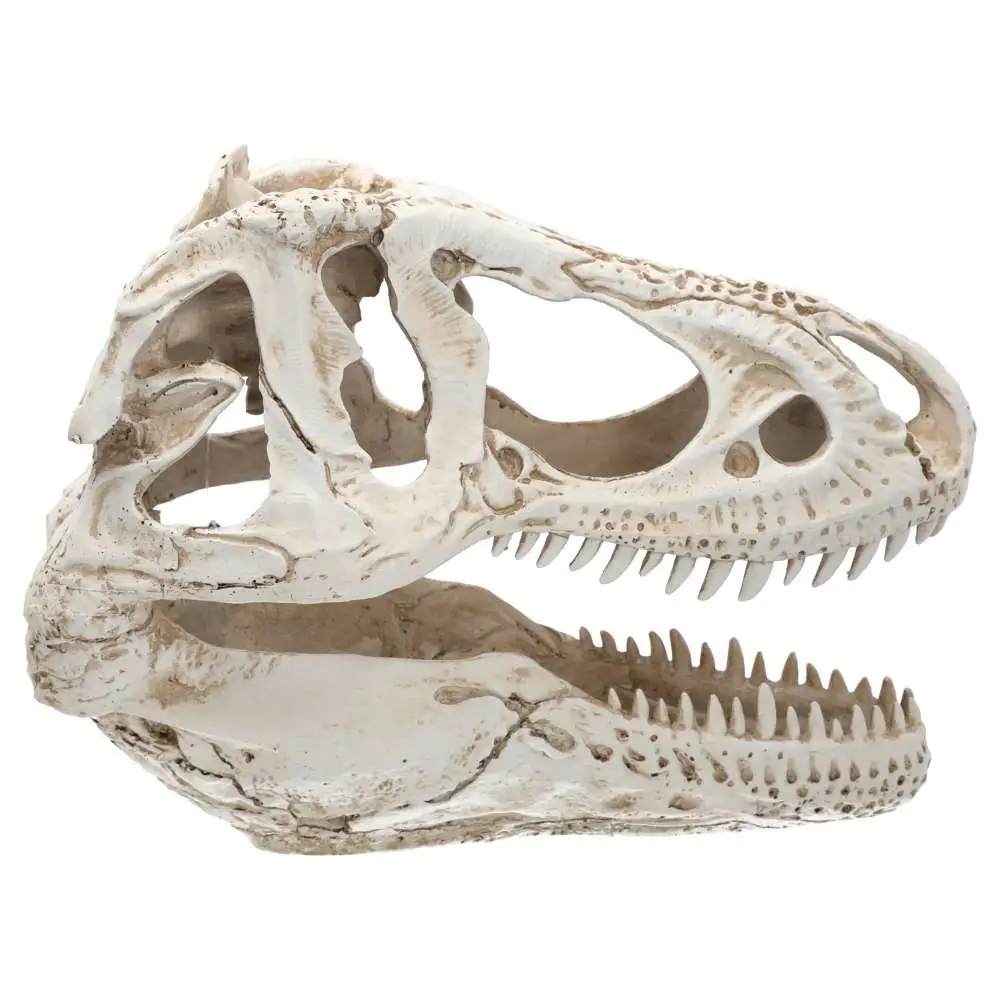 ProRep XL T-Rex Skull - Image 5