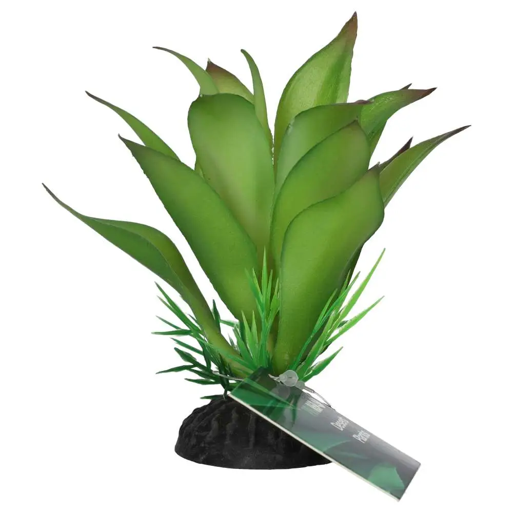 ProRep Sanseviria Plant - Image 4
