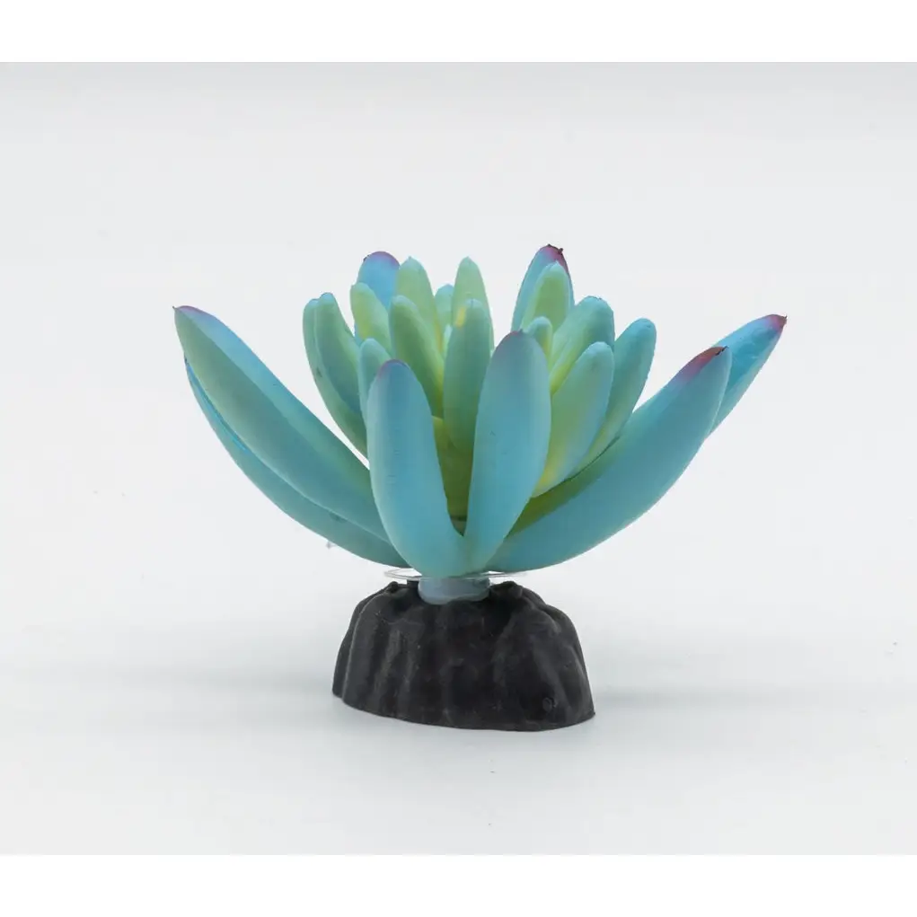 ProRep Artificial Sedum Plant Blue - Image 5